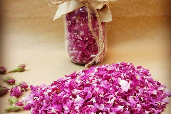 تصویر 3 از خرید و قیمت گل محمدی خشک + فروش عمده